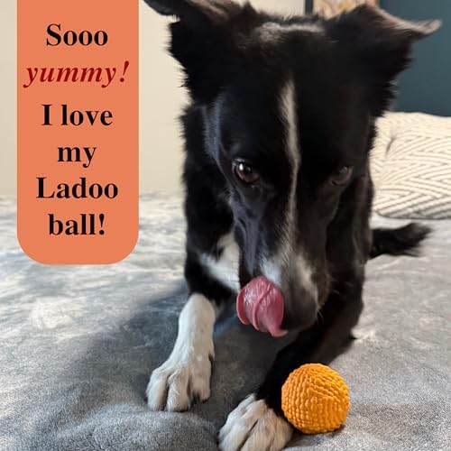 DesiPups Mithai Ladoo Ball Toy | Textured Material to Keep Dogs Engaged | Ideal for Small and Medium Dogs | Designed to Play Indoors or Outdoors | Easy to Clean Indian Desi Play Treat