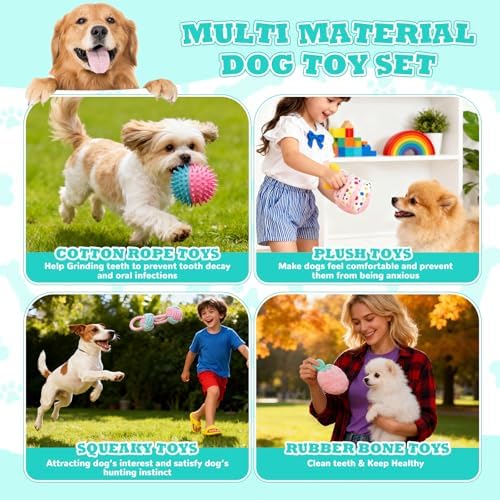 RoundFunny 11 Pcs Dog Birthday Toy Gift for Dog Birthday Cake Puppy Girl Boy Squeak Toys Interactive Puppy Gift with Box for Small Medium Size(Stylish,Mixed Color)