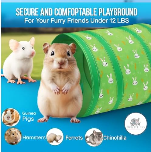 Tunnels with 3-Way Entrance - Cozy, Washable Guinea Pig Hideout - Interactive Cage Toys (Green)