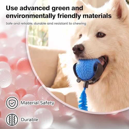 ZUAMEGUCat Toys for Indoor Cats - Interactive Rolling Ball