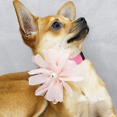 Blueberry Pet Pretty Accessory Set of Floral Collar Slide Hair Clip and Pedant for Dogs & Cats, Flower Decor and Pink Waterdrop Pendant