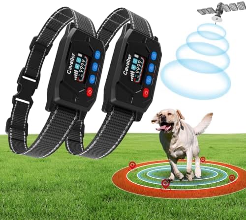 PATPET GPS Wireless Dog Fence System- Electric Fence for Dogs with 3 Warning Modes Waterproof | Outdoor Use Only | GPS Positioning | Safe Zone Radius up to 9999 ft 2 Collars