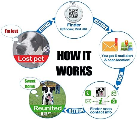 Pet Dwelling QR Pet Tag – Easy Scan Instant Location Alerts, Online Pet Profile with AI Feature for Dogs & Cats (Green Paw)