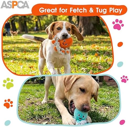 ASPCA 2-Pack Octopus Plush Dog Toys with Squeaker – Squeak & Tug Interactive Toys with Bungee Legs, Soft Cuddly Plush for Fetch, Tug, and Playtime