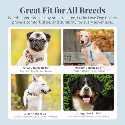 Lucky Love Dog Martingale Collar & Leash Set No Slip – Blackbird, Large