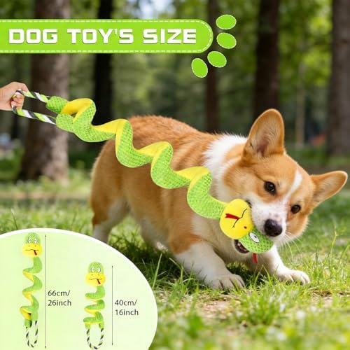 Chew Resistant Dog Rope Toy, Squeaky Crinkle Interactive Toy