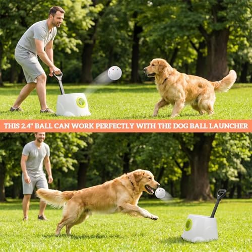 12 PCS Balls for Dogs, 2.4" Indestructible Dog Balls for Aggressive Chewers