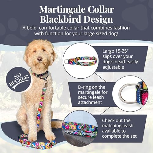 Lucky Love Dog Martingale Collar for Large Dogs No Slip – Blackbird, Large