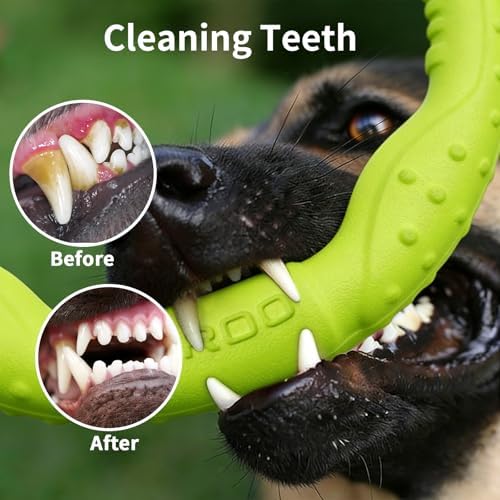 LaRoo Dog Toys for Medium/Large Dogs, Floatable Dog Flying Discs 3 Sizes Pool Toy, Interactive and Tug of War Ring Toy, Funny Fetch Teething Toys (Green, 11.8“)