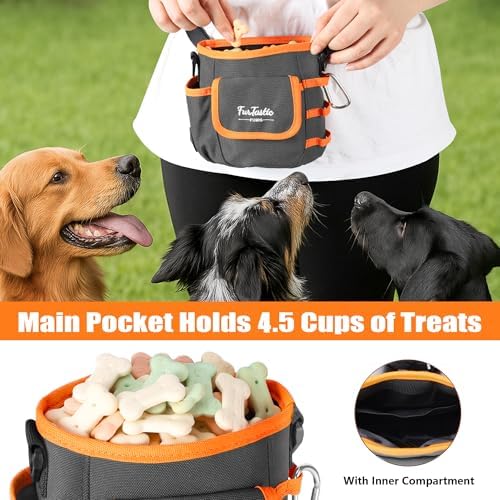 Dog Treat Pouch with Magnetic Closure for Pet Training