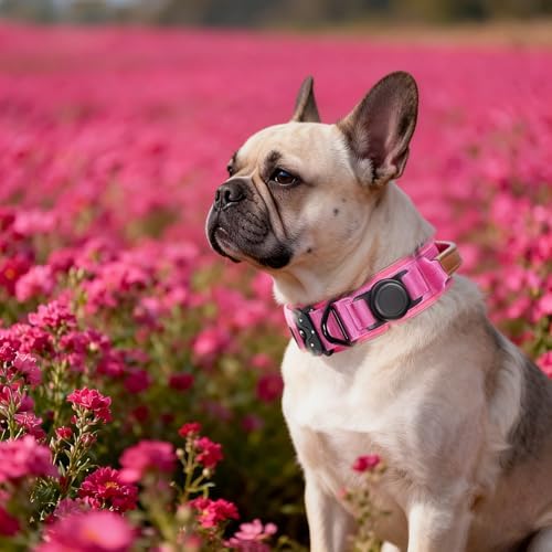 2" Tactical Dog Collar with Airtag Holder & Handle for Medium Dogs (Pink)