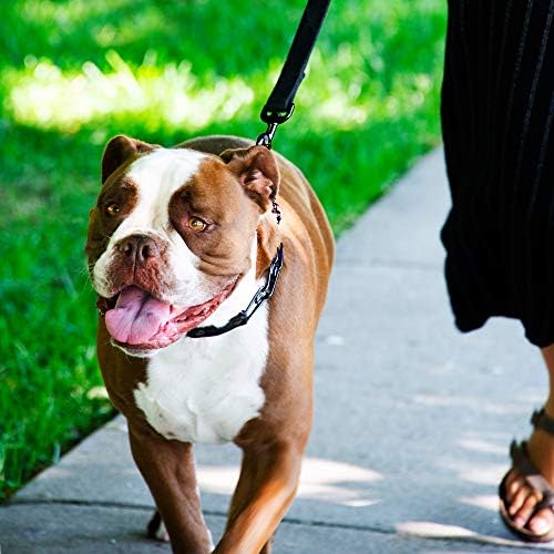 Herm Sprenger Quick Release Dog Training Collar Black Stainless Steel No Pull Collar Easy Leather Buckle Release Unique Tactical Look for Large Pet Dogs (18-26" Neck, 3.2mm Links)