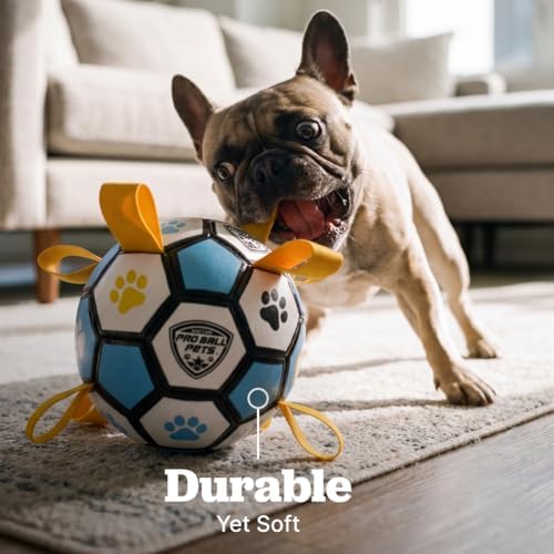 Interactive Dog Soccer Ball for Dogs, 6” with Straps & Grab Tabs, Floats on Water, Fetch & Training Toy for Small/Medium Dogs, Herding Breeds, Waterproof Non-Toxic – ProBall Pets – Blue Yellow