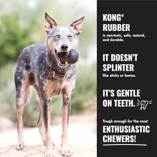 KONG Extreme Donut, Durable Natural Rubber Chew Toy, for Large/X-Large Dogs