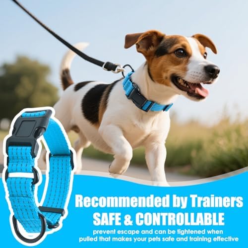 Martingale Dog Collar, Reflective No Pull with Buckle, Sky Blue, L