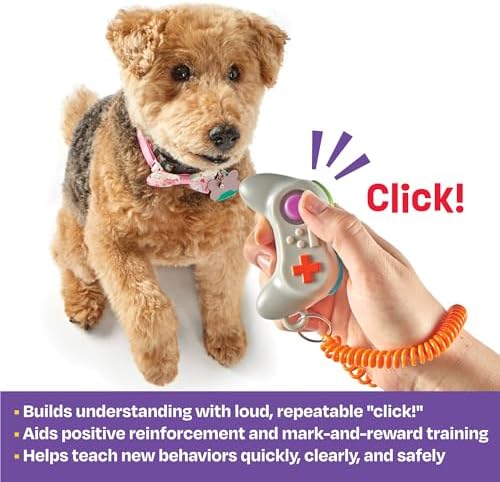 Learning Resources Brightkins Gamepad Training Clicker