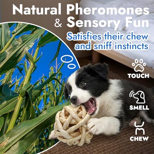 Natural Dog Chew Toy, 1pcs Woven Grass Chew Ball for Dogs, Dental Teething Toy & Interactive Fetch Toys, Outdoor Rattan Digestible Chew Ball for Boredom Relief - CornLeaf