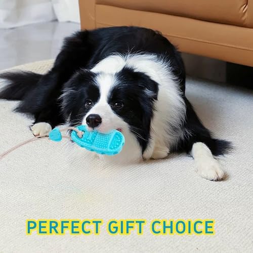 2026 New Dog Suction Cup Toy-Tug of War Style with Rope
