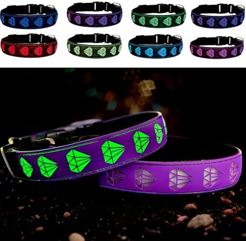 Light Up Glow Dog Collar with AirTag Holder, 15 Color Modes,