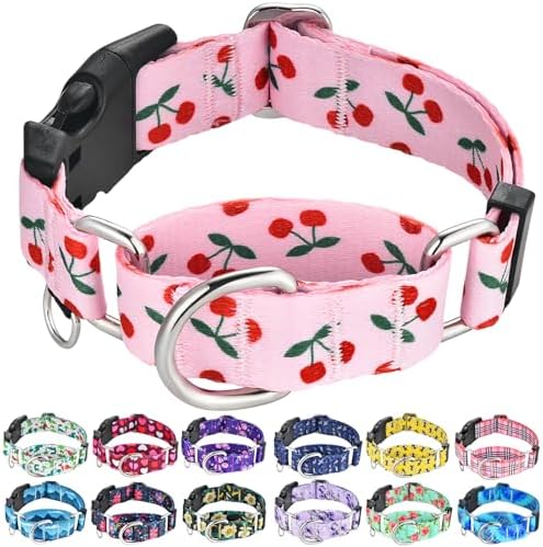 Martingale Dog Collars for Large Dogs with Buckle No Pull Cute Girl Pink Pet Collar (Cherry, Large)