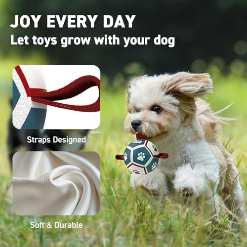 QDAN Small Dog Toys, Puppy Balls, Dog Balls with Straps for Small Breed