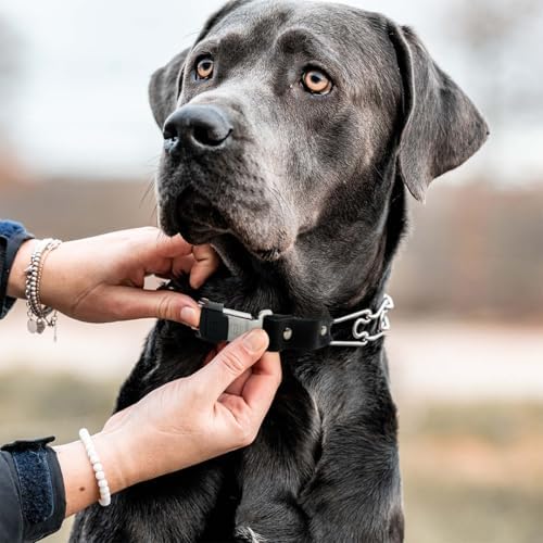 Herm Sprenger Prong Collar for Dog Training with Easy Quick Release Cliclock & ORing - German Made Dog Collar with Chrome Plated Steel 4mm Prongs for Extra Large Dogs (26-31" Neck)