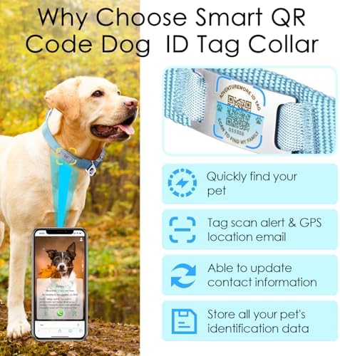 ADVENTUREMORE Smart ID Tag QR Code Nylon Dog Collar - Prevents Small, Medium, Large Dogs from Getting Lost at Night, Displays Owner and Pet Details - Durable, Adjustable, Thick-Teal-Small