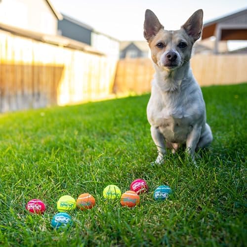 Outward Hound Squeaker Ballz Tennis Ball Dog Toy, X-Small, 1.5", 8-Pack | Squeaks & Bounces, Bright Colors, Interactive Fetch & Training, Indoor Outdoor, Moderate Chewers, Small Dogs (Under 15 lbs)