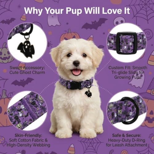 Halloween Dog Collar, Purple Puppy Collar for Medium Dogs, M