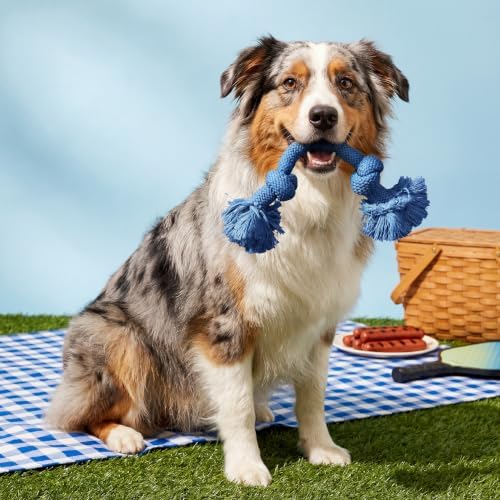 Playology Tug Rope Dog Toys for Medium Dogs - Medium, Hot Dog Scent
