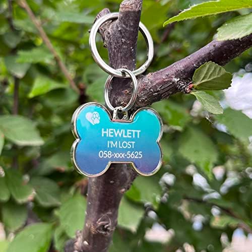 QR Code Dog Tag -On Pet ID Name Tag for Dogs, Cats & Horses – Custom Personalized Noiseless Tag with Jingle-Free Fit & Online Profile Display