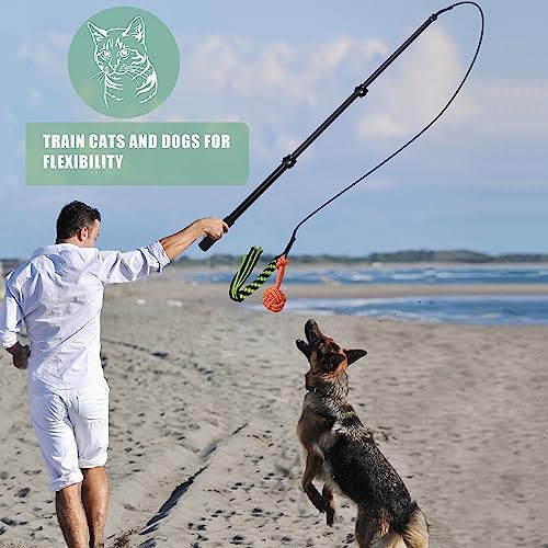 Flirt Pole for Dogs,Collapsible Extendable Dog Teaser Wand with Plush Squeaky Toy、Chase Rope, Ball Toy, Agility Training Equipment Playing Exercise Tools for Small Medium Large Dogs