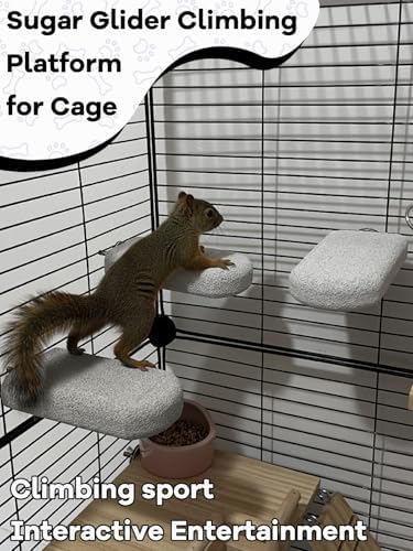 Chinchilla Lava Ledges Rat Climbing Platform 6 Pack Pumice Ledge Shelf Pet Chewing Grinding Toys Small Animals Cage Accessories for Totoro Squirrel Guinea Pig Hamster Gray