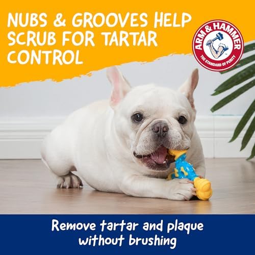 Arm & Hammer Nubbies TriBone Dental Dog Chew Toy, Peanut Butter Flavor