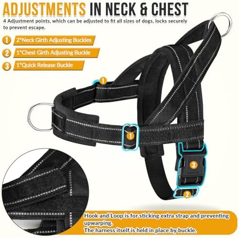 Lukovee No Pull Dog Harness and Leash Set, Soft Padded for Large Medium Dog