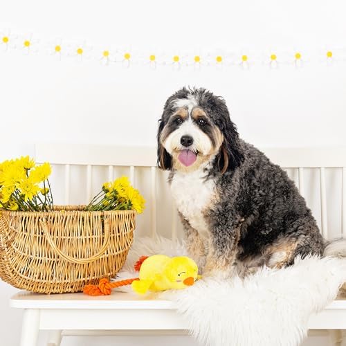 Fringe Studio Plush Dog Toy, Sweet Little Chick, Pet Shop Collection (314137)
