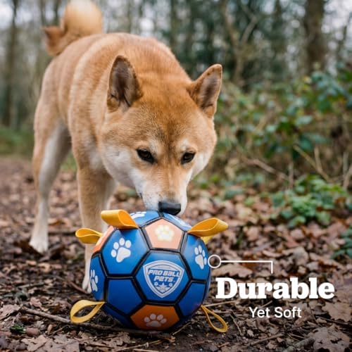 Interactive Dog Soccer Ball for Dogs, 6” with Straps & Grab Tabs, Floats on Water, Fetch & Training Toy for Small/Medium Dogs, Herding Breeds, Waterproof Non-Toxic – ProBall Pets – Blue Orange