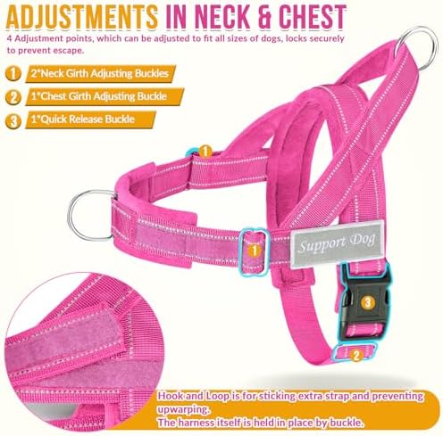 Lukovee No Pull Dog Harness and Leash Set, Soft Padded for Large Medium Dog