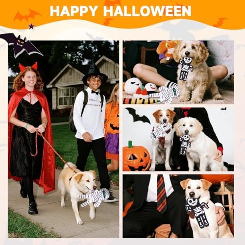 PAWCHIE Halloween Squeaky Dog Toys 2 Pcs for Small Medium Dogs,No Stuffing Crinkle Puppy Toy,Soft Pet Plush Teething Toys Mess-Free Interactive Chew Toy for Boredom Ideal, Skeleton & Mummy
