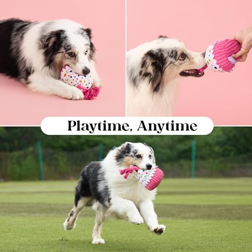 LE SURE Cute Squeaky Dog Toy for Gentle Chewers,Dog Birthday Cake Toy