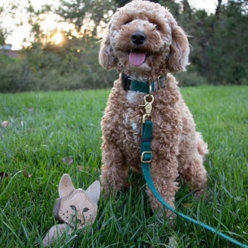Tall Tails Dog Natural Leather Scrappy Fetch Toy for Dogs, Fox