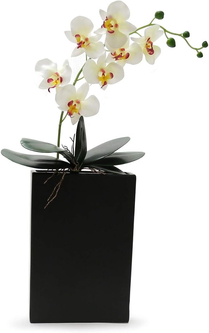 WGV Rectangle Block Ceramic Vase 8" x 2.5" x 12"H Black Tall Narrow Planter Terrarium Floral Centerpiece for Wedding Event Home Decor 1 Piece