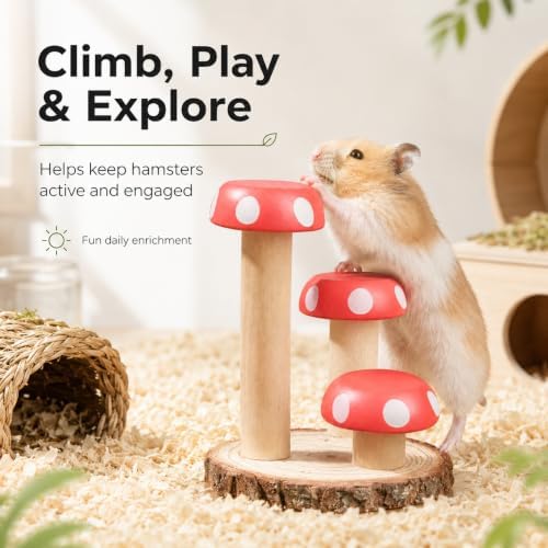 Hamster Climbing Toy Wooden for Chew, Enrichment Cage Accessory