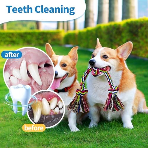 WDZZHOT [2 Pack] Dog Rope Toys, Dog Chew Toy for Medium and Small Dogs, 3 Knots Heavy Duty Puppy Rope Toy, 100% Cotton Tug of War Dog Toys for Boredom, Teeth Cleaning