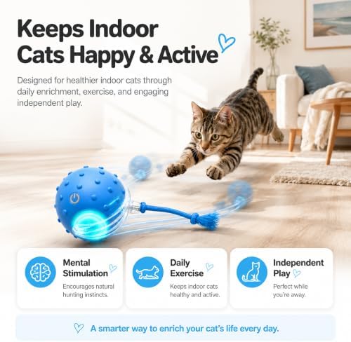 AWISH Cat Enrichment Toy, Interactive Rolling Ball for Indoor Cats