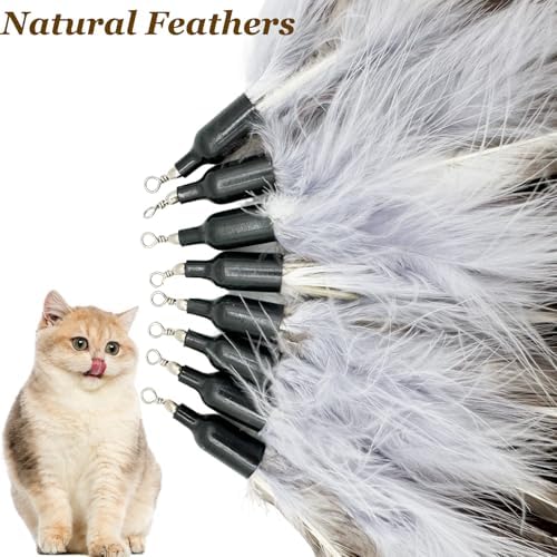 Cat Feather Toys Refills Da Bird Feathers Refills, 8 Pieces Cat Wand Replacement Feathers for Cat Toy, Brown 8PCS