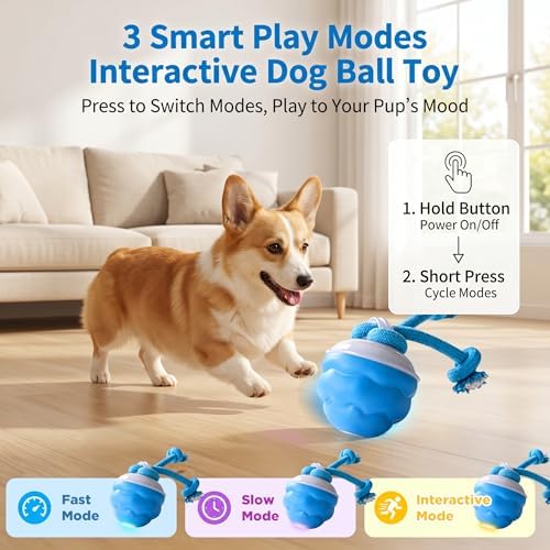 Interactive Dog Toys, Automatic Rolling Ball with Rope, Blue