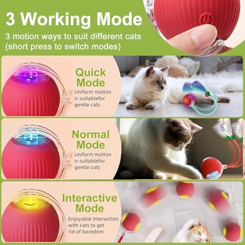 2 Pack Interactive Cat Toy Balls for Indoor with Elastic Mesh Tail