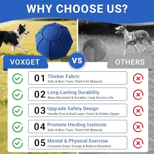 Herding Ball Toy for Dogs and Horses, Bright Blue, L