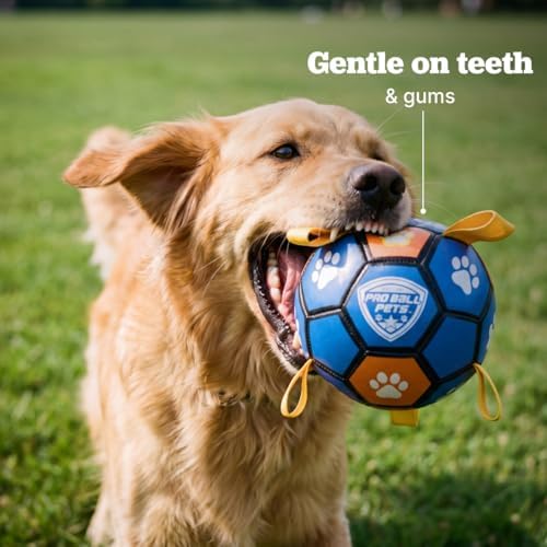 Interactive Dog Soccer Ball for Dogs, 6” with Straps & Grab Tabs, Floats on Water, Fetch & Training Toy for Small/Medium Dogs, Herding Breeds, Waterproof Non-Toxic – ProBall Pets – Blue Orange